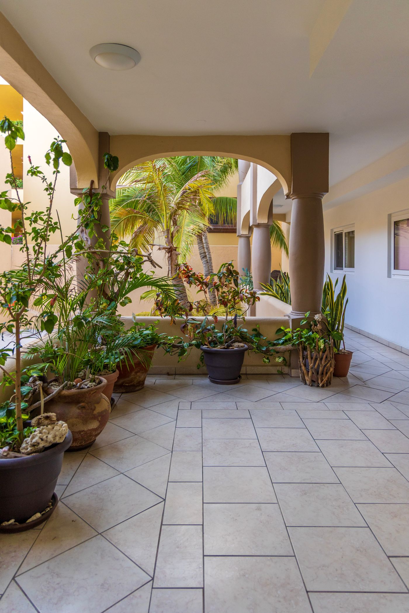 las olas condos for rent las olas condos for rent