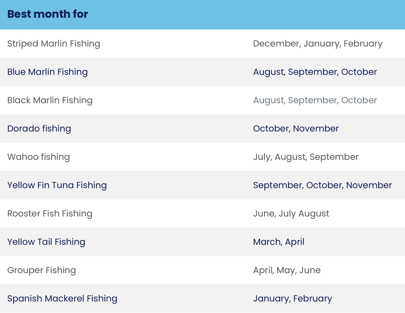 cabo san lucas fishing charters