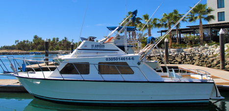 san jose del cabo fishing