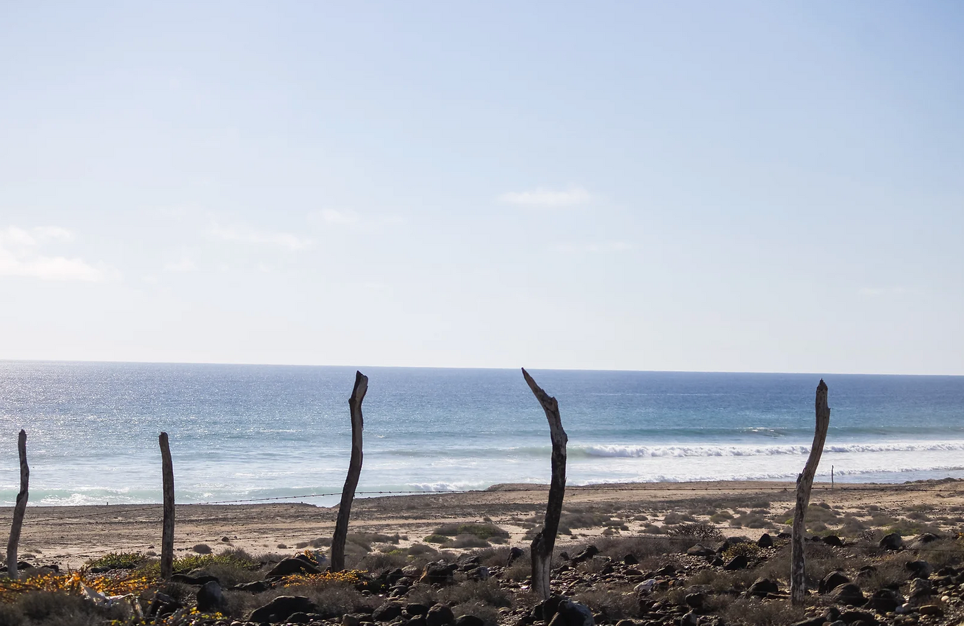 scorpion bay real estate