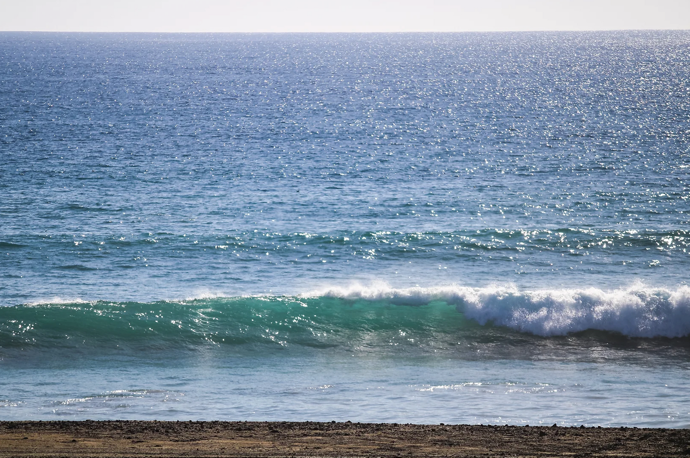 scorpion bay real estate