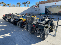 scorpion bay quad rentals scorpion bay quad rentals