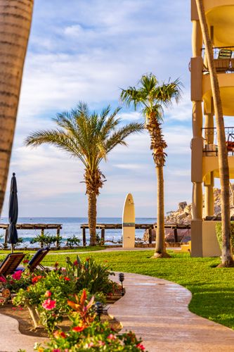 san jose del cabo surf hotel san jose del cabo surf hotel