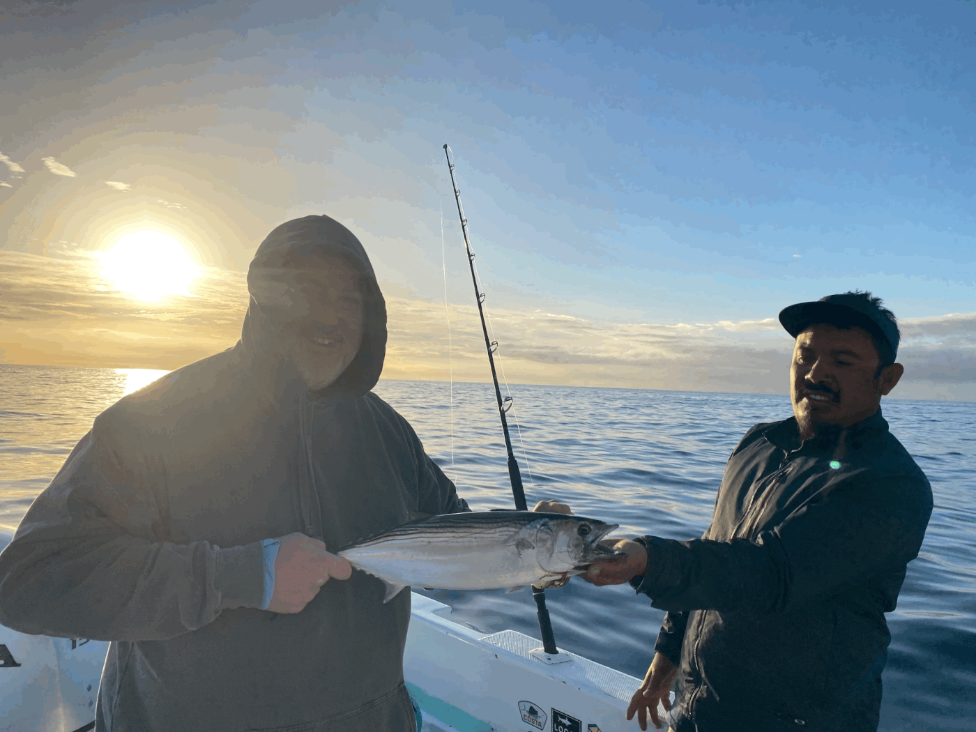 cabo fishing mexico