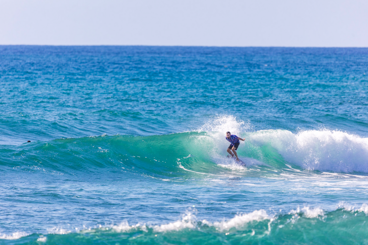 cabo surf hotel