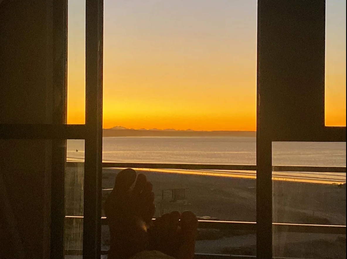 scorpion bay baja surf