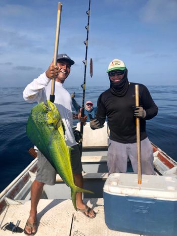 Scorpion Bay Fishing