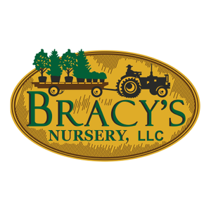partners_bracys.png