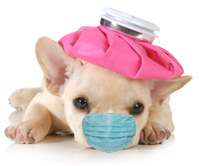 Puppy Flu Upload w Mask2.png