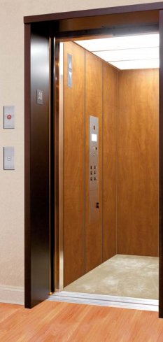 Commerical Elevator commercial-elevator-01-LULA.png