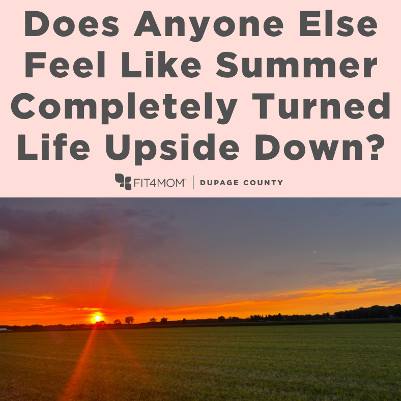 Blog_SummerTurnedLifeUpsideDown_Spacecraft_July2026.png