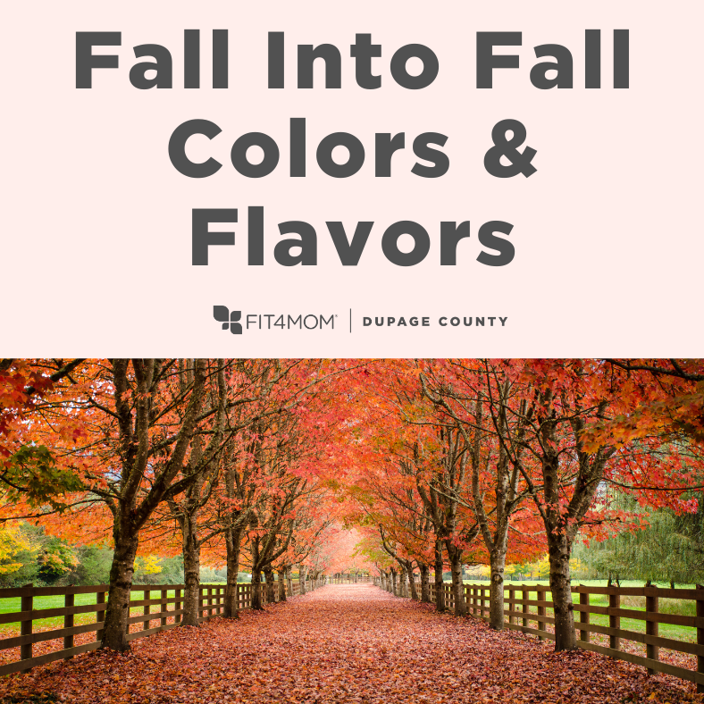 Blog_FallIntoFallColors&Flavors_Spacecraft_Sept2025.png