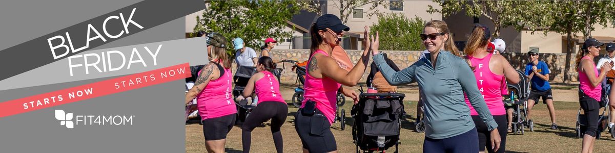 Copy of FRAN - TEMP - Black Friday - Web Banner  (1200 x 300 px).jpg