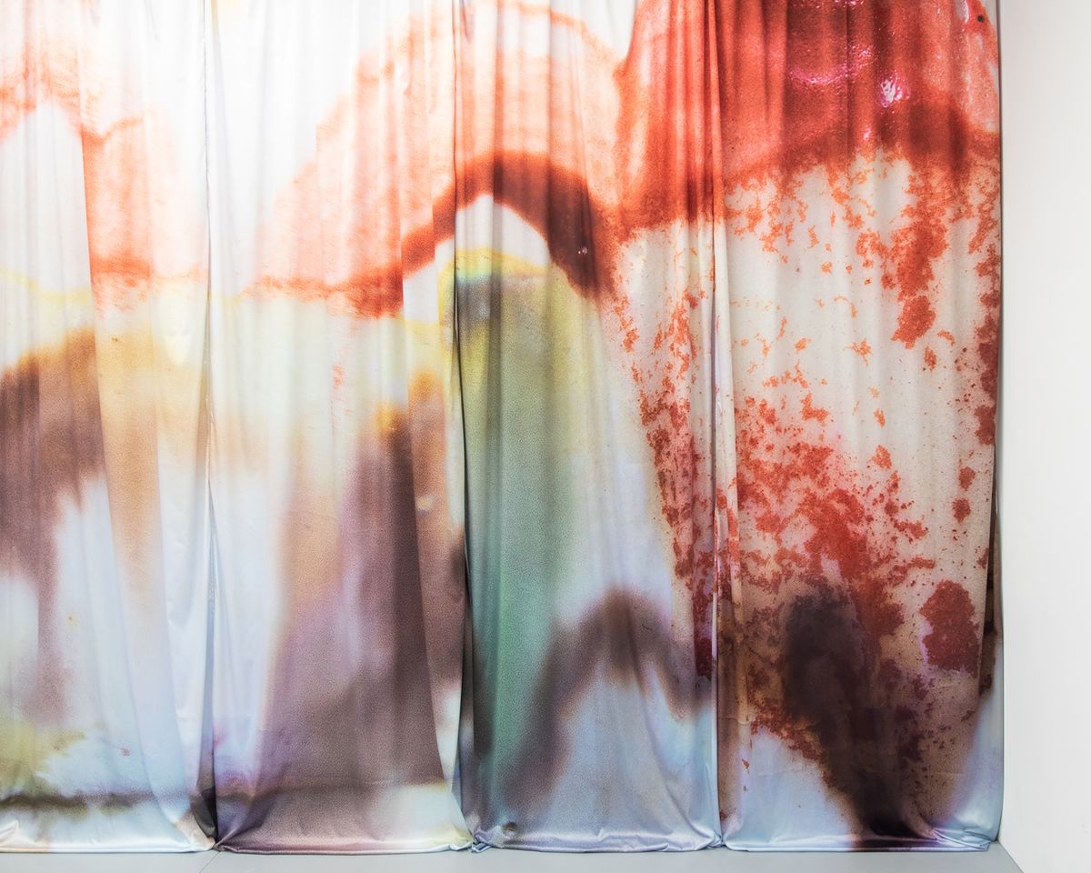 4.CC_Jennie Jieun Lee_2024_Strawberry Nose.jpg