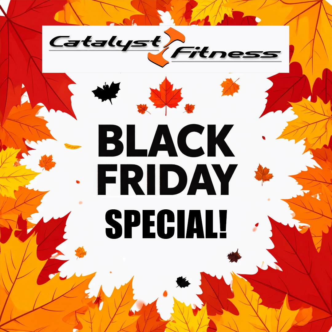 Black Friday Special