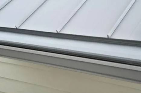 gutter-helmet-2.jpg