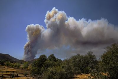 firesafety.jpg