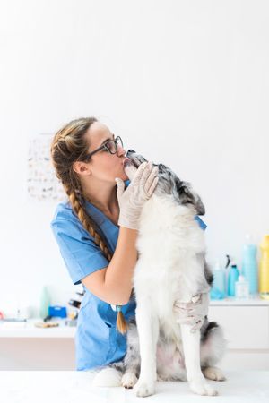 Compounding for Your Pet