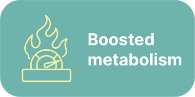 Metabolism.png