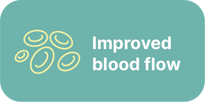 BloodFlow.png