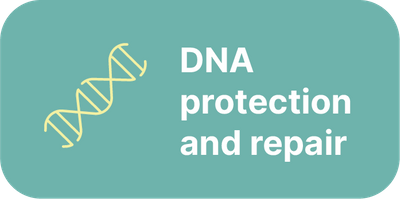 DNA.png