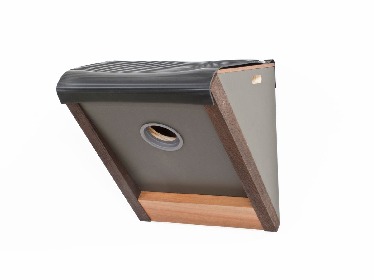 birdhouse Paco1small.jpg