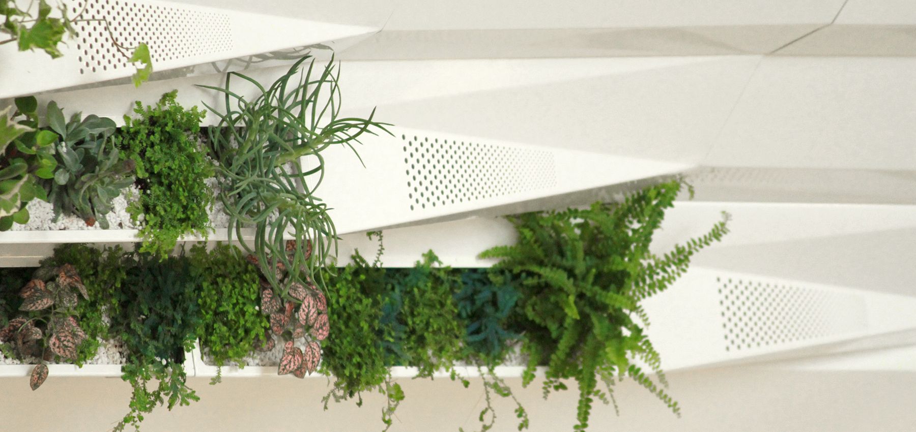 Modern Architecture Botanica Logan Johnson