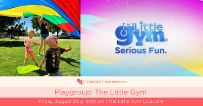 Playgroup The Little Gym-4.png