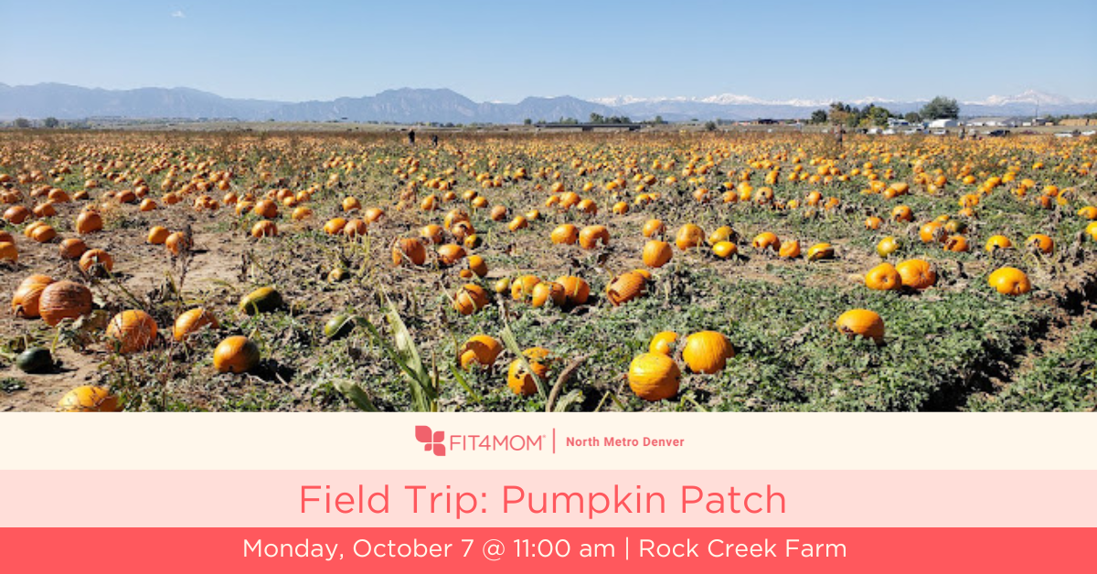 Field Trip_ Pumpkin Patch.png