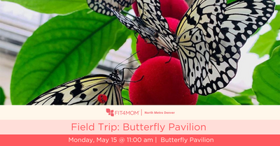 Field Trip_ Butterfly Pavilion.png