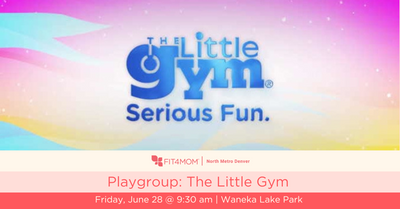 Playgroup The Little Gym-3.png