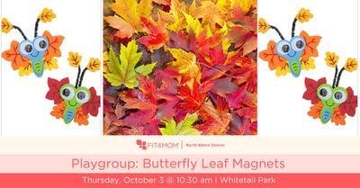 Playgroup_ Butterfly Leaf Magnets.png