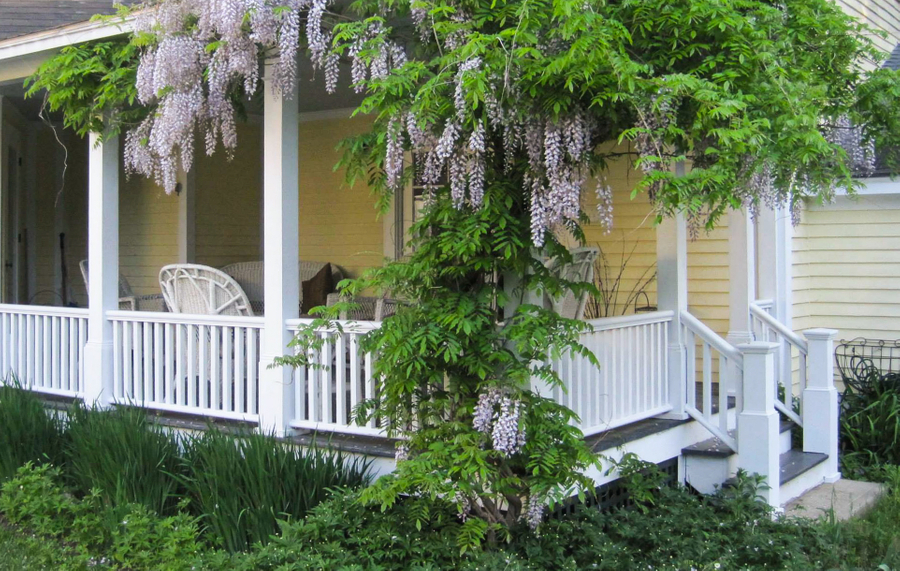 Porch in Summer.jpg