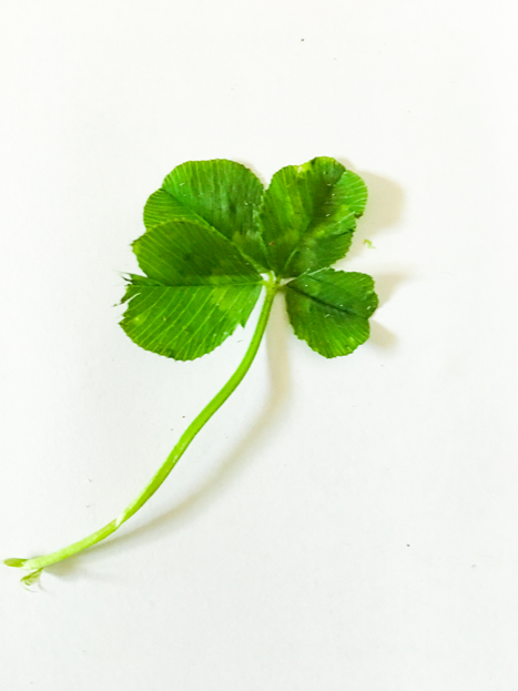 Here are links on how homes can be designed for sustainability. Green Design Resources ?