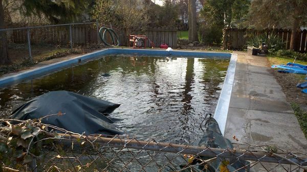 liner replacement new coping new concrete deck_before.jpg