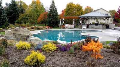 gunite pool with tanning ledge