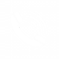 Contact Icon.png