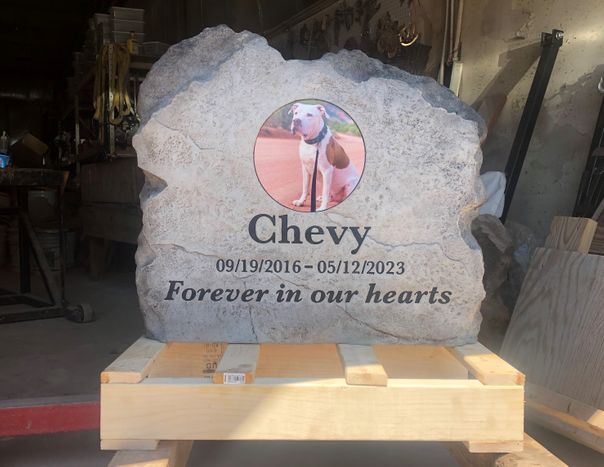 IMG_4739 CROPPED.jpg