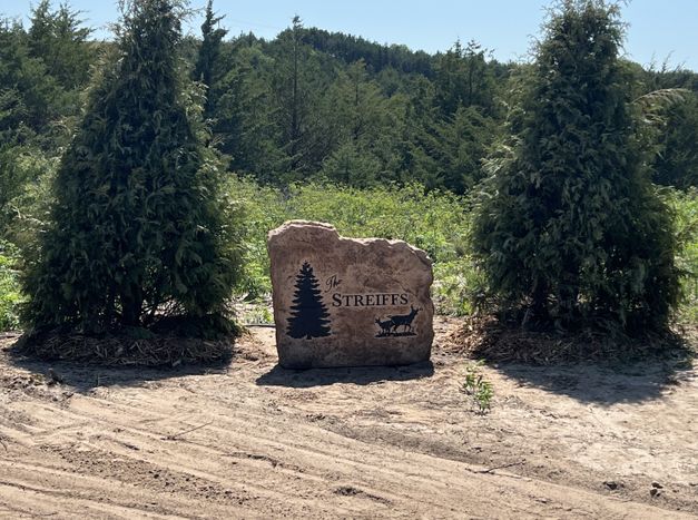 IMG_6578 CROPPED.jpg