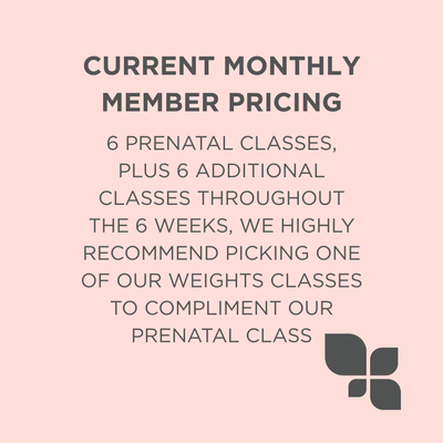 prenatal fitness pricing description 3.png