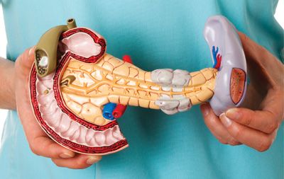 Exocrine Pancreatic Insufficiency