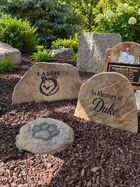 Pet Stones