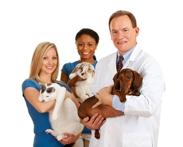 Veterinarians holding pets
