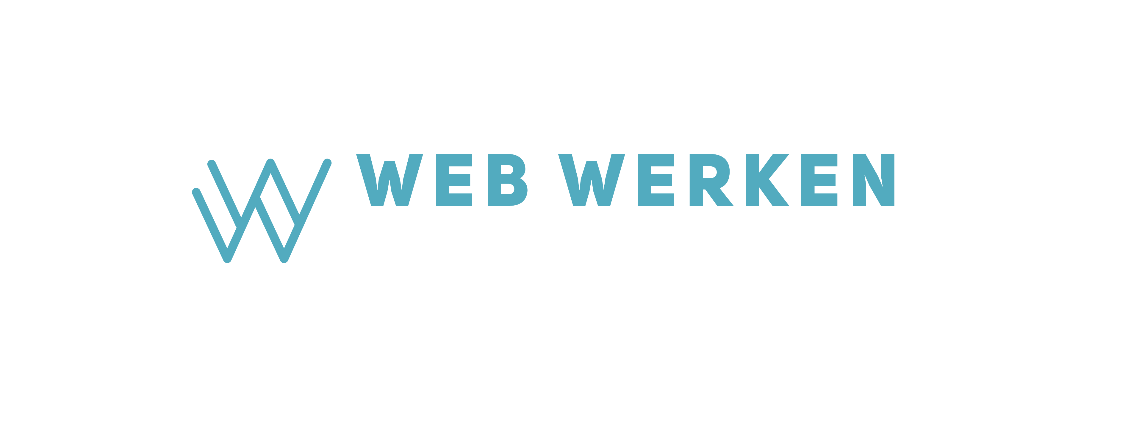 Web Werken Online Marketing