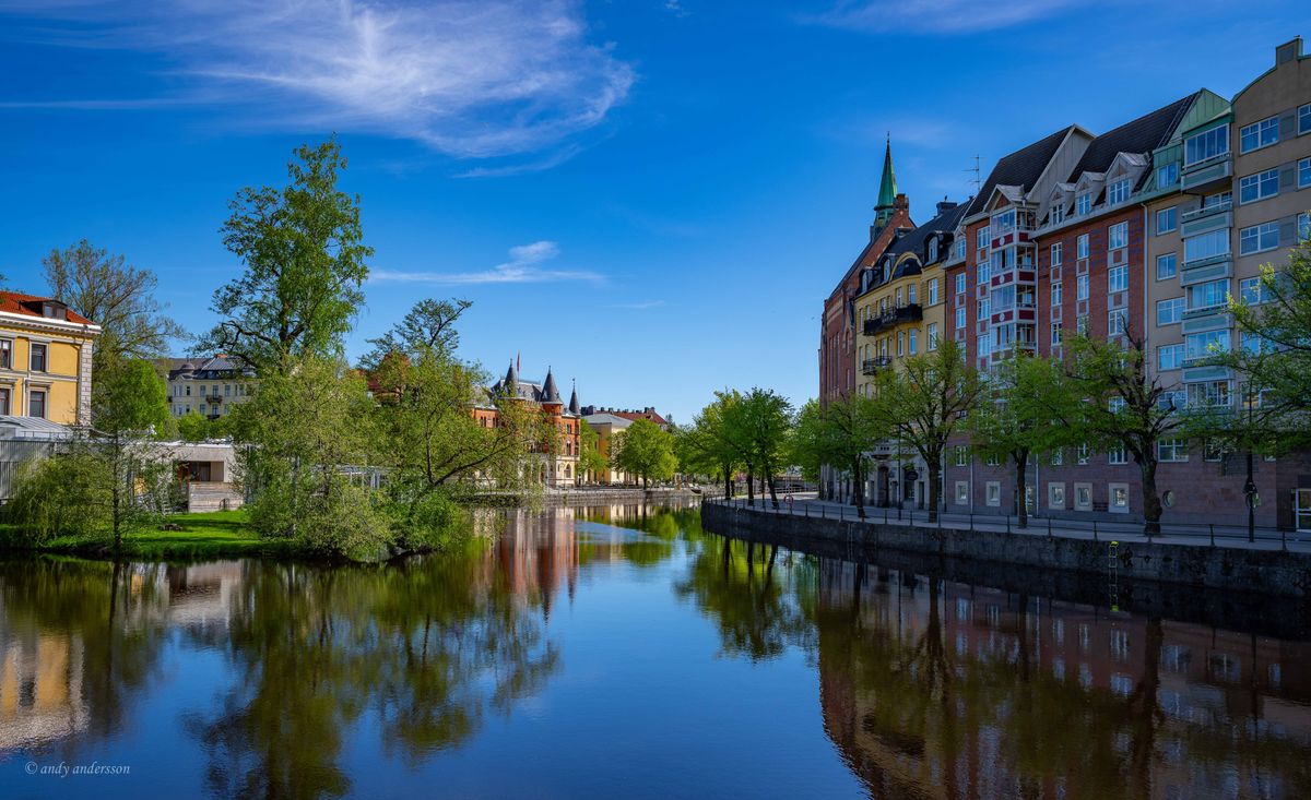 DSC00334 copy_pe.jpg