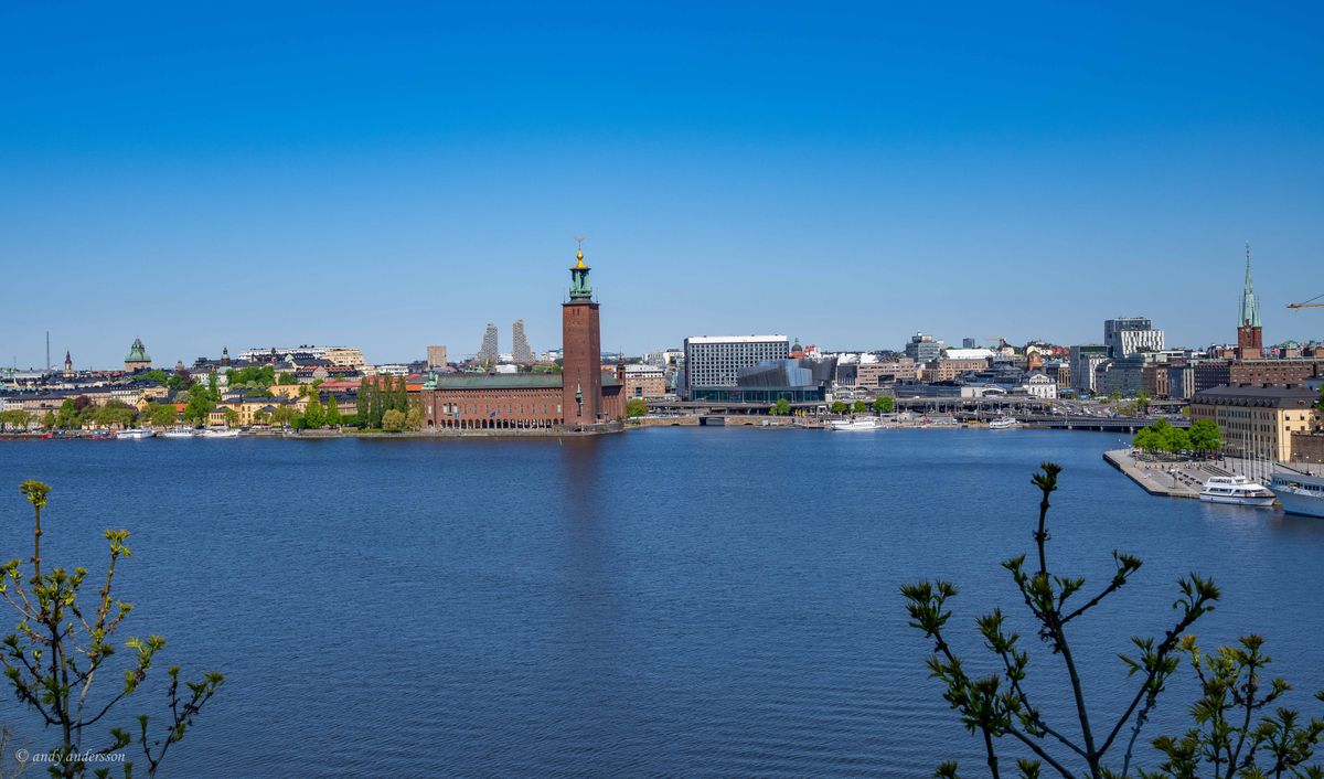 DSC00832 copy_pe.jpg