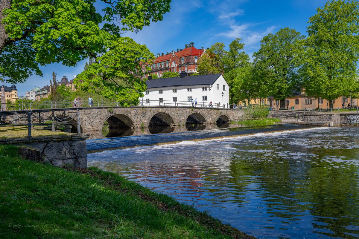 DSC00342 copy_pe.jpg