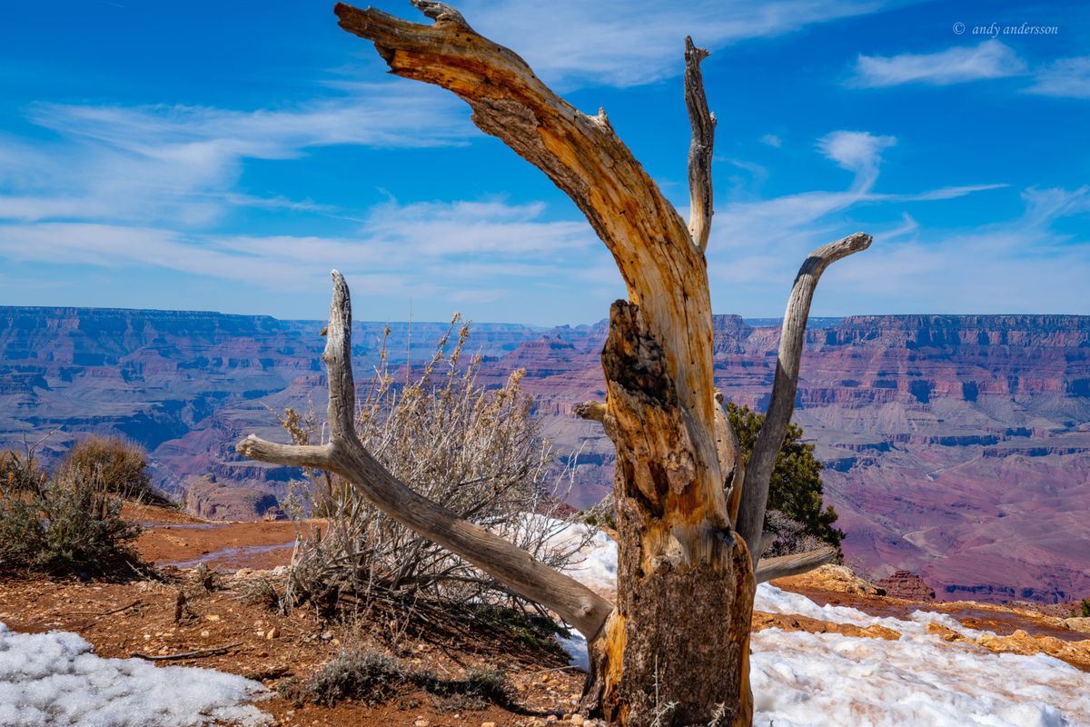 DSC07114 copy_pe.jpg