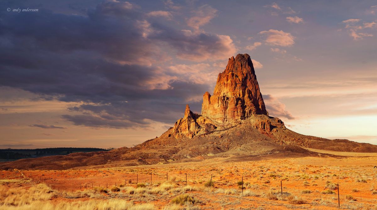 DSC07138_pe copy_pe.jpg