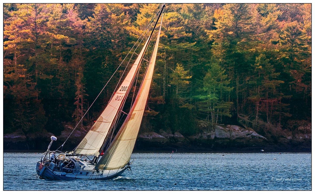 DSC00016_pe copy_pepost.jpg